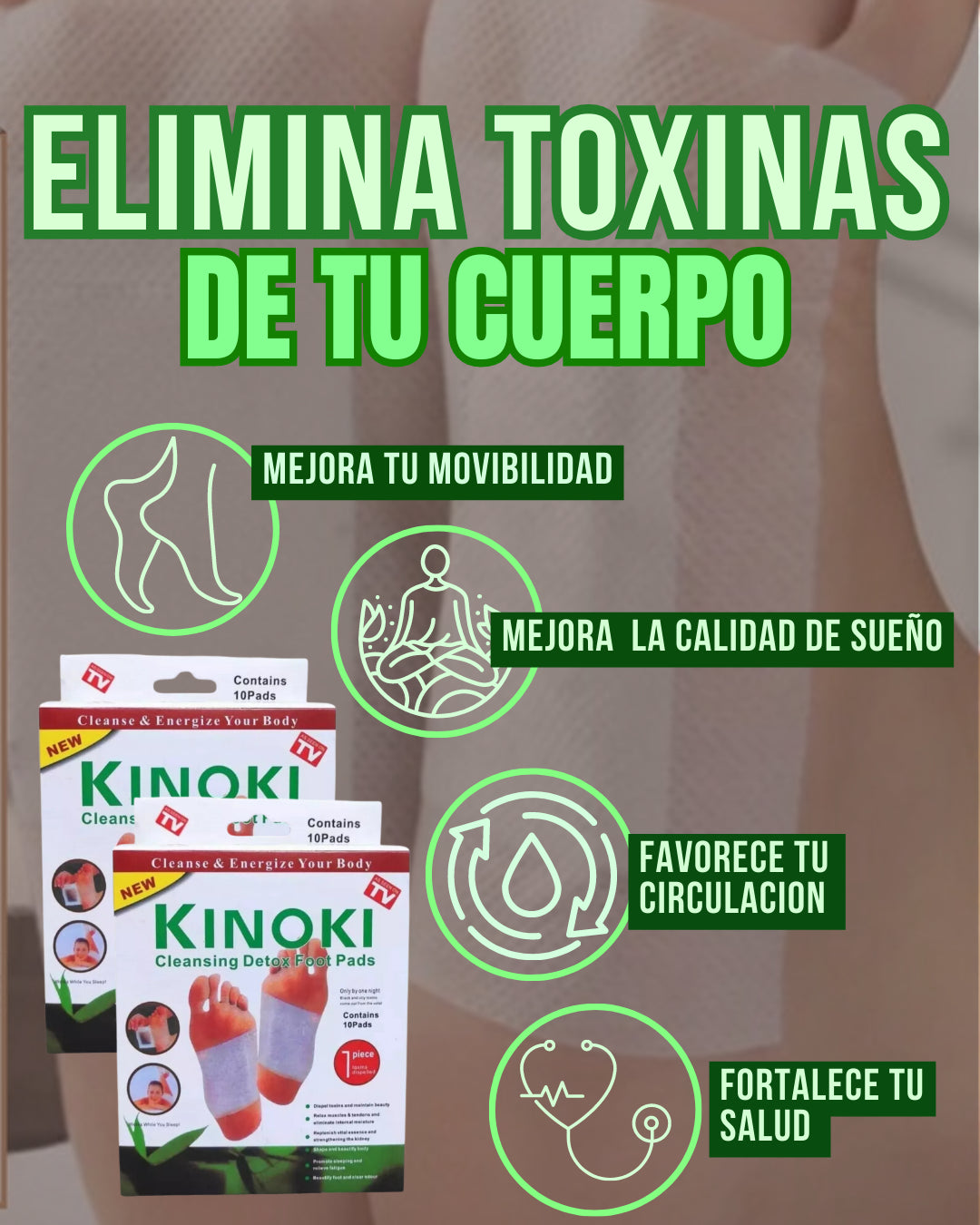 Encabezado