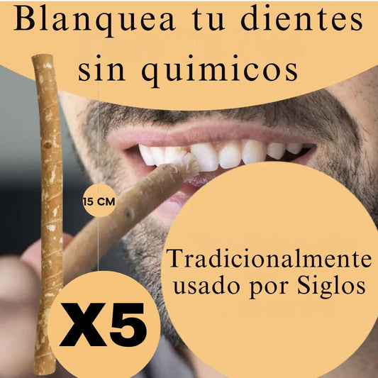 Miswak Original Cepillo de dientes Natural X5