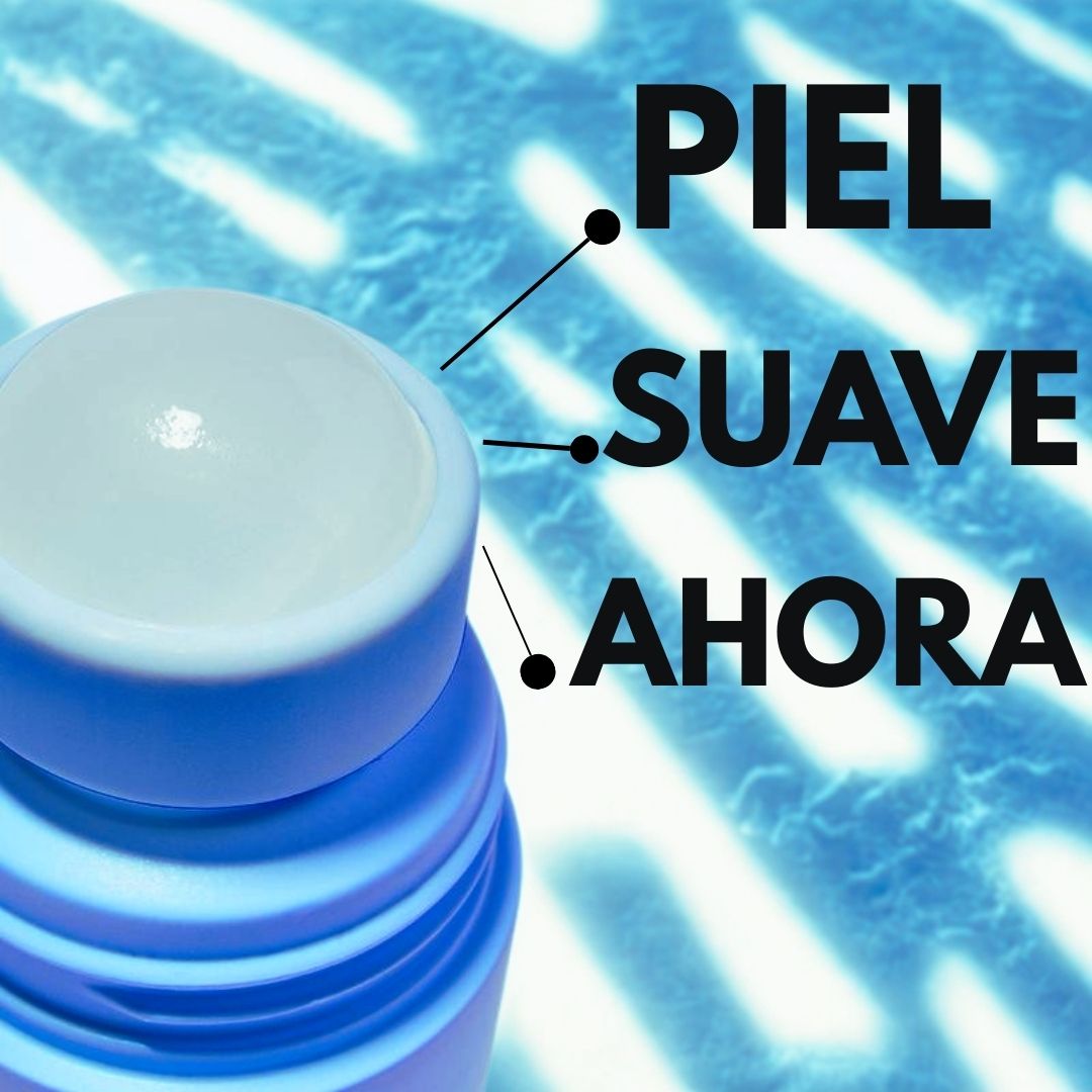 Encabezado